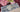 Scatola degustazione confetti - linea Bloomingrose